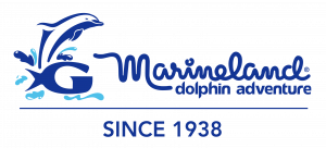 MDA_Since1938_color_correct logo